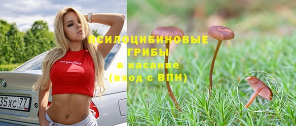 Альфа ПВП Медвежьегорск