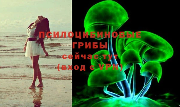 спиды Мегион